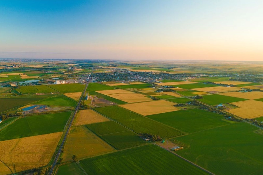 Birla Mrida Boisar Green