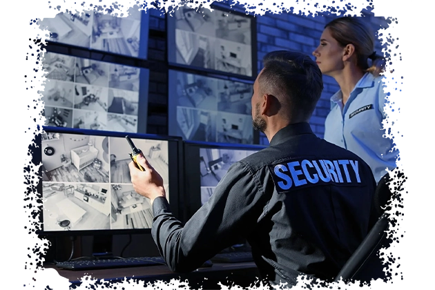 Birla Mrida Boisar Security