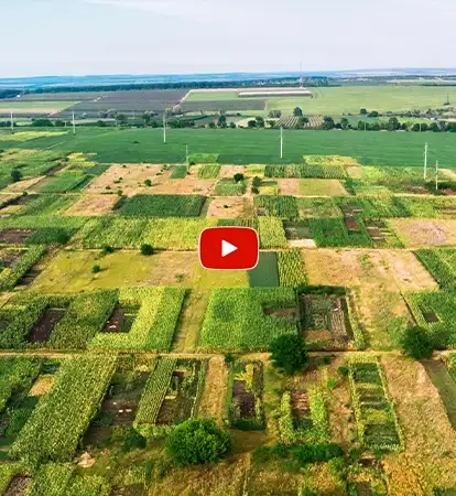 Birla Mrida Palghar Video Thumnail 03